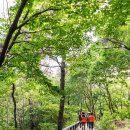 강서구-11 이미지