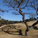 소무산(249m).달걀봉.앞산.중군이봉.큰골산.산불초소봉.건저골산.안평봉(145m) /경기 여주 이미지