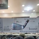 오늘의골프 | 오산 골프 매장 핑 gle3 중고 여성 아이언 보상 교환 후기