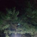 솔미민박 이미지