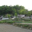 봉서1리 이미지