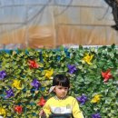 원이네농장 이미지