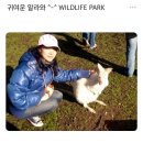 우림라이프 이미지