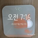 주둥이 다이어터 먹소녀, 스위치온 다이어트 1주차 식단 및 후기2