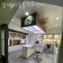 강서YD동물의료센터 | 강서구 등촌동 동물병원 강서YD동물의료센터 위치 오는길 후기