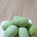 포포 이미지