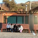 고양이숲 이미지