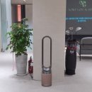 노블 골프연습장 이미지