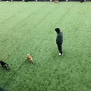 독플래닛 이미지