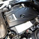 루페스 빅풋 디테일링센터 일산 이미지