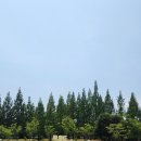 뎀셀브즈 | 일산호수공원 카페 뎀셀브즈 레이크파크점 일산북카페