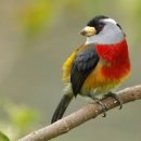 화인아파트(남) 이미지