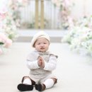 꽃민들레 | 부천드마리스 돌스냅, 노란꽃 민들레 사진관 이용 후기