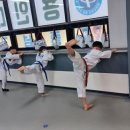용인대 매교태권도장 이미지