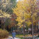 사가정공원 이미지