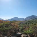 돌산 이미지