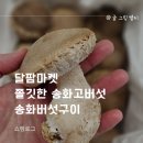 달팜마켓