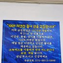 이순신광장로 | 여수맛집 이순신광장맛집 금성횟집 내돈내산 솔직후기