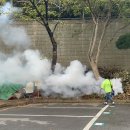 의료법인 성신의료재단 이미지