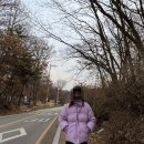 이레이스 이미지