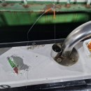 은하별 | 2025년 10월 27일! 인천 쭈꾸미 갑오징어 낚시 솔직한 후기! 은하3호 출조! 아쉬움? 손맛? 입맛?