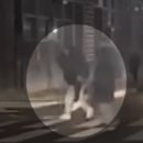 횡단보도 부근 이미지