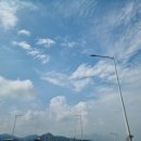 십리벚꽃산장 이미지