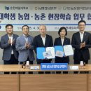 제일대 이미지