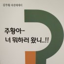 "전우가 좋아"---(457) "베트남참전 인터넷전우회 총회" 이미지