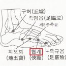 [혈명해설-11] 족소양담경의 오수혈 (족규음.협계.족임읍.양보.양릉천) 이미지