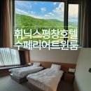 솜어소시에이츠 | 평창 1박2일, 휘닉스평창 올인클루시브 호텔 수페리어 트윈룸 후기, 숲캉스로 최고