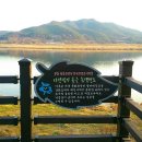 개경포기념공원 이미지