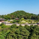 농협김해시지부(1134) | 김해 수로왕릉 가야역사 박물관 투어 주차 꿀팁과 산책 코스 총정리