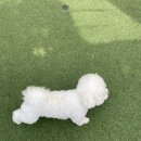 월간 blog. 26년 5월 일상모음집 3편