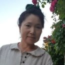 교동살래 이미지
