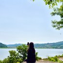 옥산호수정원진달래관광농원 이미지