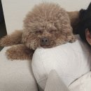 브릭바이브릭스튜디오 이미지