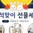 필라테스요가 이미지