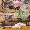 도쿄하나 사당점 이미지