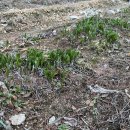 고지농장 이미지