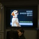 비안코 포레스트 이미지