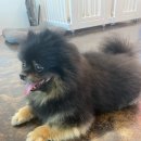 살롱드삐삐 이미지