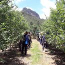 석포면사무소 이미지