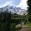 레이니어산 (Mt. Rainier) 이미지