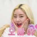 리빈 이미지