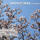 플레이포레스트협동조합