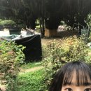 챔코 | HongKong, Travel 🇭🇰