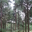 (주)대평세라믹스산업 이미지