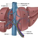 경화헬스 이미지