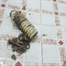 광암동 화장실 이미지